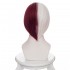 Hero Academia Shoto Todoroki Cosplay Wig 