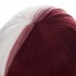 Hero Academia Shoto Todoroki Cosplay Wig 