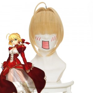 Games Fate Claudius Saber Cosplay Wig 