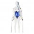 FGO Fate/Grand Order Mysterious Alter Ego Cosplay Costumes