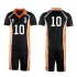 Anime Haikyuu Karasuno High School Volleyball Club Hinata Shoyo and All Teammates Uniform Cosplay Costume