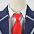 Anime My Stepmoms Daughter Is My Ex Mizuto Irido Yume Irido Cosplay Costumes