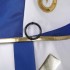 Fire Emblem Engage Lueur Alear Man Cosplay Costumes