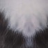 Movie Puss in Boots Kitty Softpaws Swimsuit Cosplay Costumes