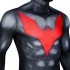 Batman Beyond Terry McGinnis Jumpsuit Cosplay Costumes