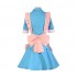 Anime Danganronpa 3: The End of Hope's Peak Academy Yukizome Chisa Cosplay Costumes
