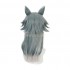 Anime Beastars Legoshi Short Long Cosplay Wigs