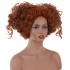 Hocus Pocus 2 Winifred Sanderson Cosplay Wigs