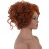 Hocus Pocus 2 Winifred Sanderson Cosplay Wigs