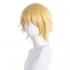 Anime Chainsaw Man Denji Cosplay Wigs