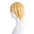 Anime Chainsaw Man Denji Cosplay Wigs