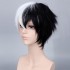 Anime Danganronpa: Trigger Happy Havoc Monokuma Black and White Bear Short Cosplay Wigs