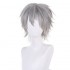 Anime Neon Genesis Evangelion Kaworu Nagisa Cosplay Wigs