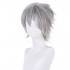 Anime Neon Genesis Evangelion Kaworu Nagisa Cosplay Wigs