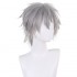 Anime Neon Genesis Evangelion Kaworu Nagisa Cosplay Wigs