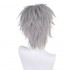 Anime Neon Genesis Evangelion Kaworu Nagisa Cosplay Wigs