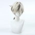 Game Honkai: Star Rail Arlan Ponytail Cosplay Wigs