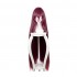 FGO Fate Grand Order Lancer Scathach Dark Purple 110cm Long Stright Cosplay Wigs
