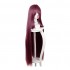 FGO Fate Grand Order Lancer Scathach Dark Purple 110cm Long Stright Cosplay Wigs