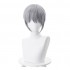 Anime Fruits Basket Soma Yuki 35cm Short Gray Cosplay Wigs