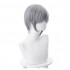 Anime Fruits Basket Soma Yuki 35cm Short Gray Cosplay Wigs