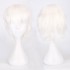 Classic Short 30cm Man Fashion Various Color White Black Gray Brown Pink Red Pruple Blonde Anime Cosplay Wigs