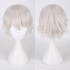 Classic Short 30cm Man Fashion Various Color White Black Gray Brown Pink Red Pruple Blonde Anime Cosplay Wigs