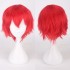 Classic Short 30cm Man Fashion Various Color White Black Gray Brown Pink Red Pruple Blonde Anime Cosplay Wigs