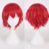 Classic Short 30cm Man Fashion Various Color White Black Gray Brown Pink Red Pruple Blonde Anime Cosplay Wigs