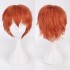 Classic Short 30cm Man Fashion Various Color White Black Gray Brown Pink Red Pruple Blonde Anime Cosplay Wigs