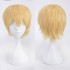 Classic Short 30cm Man Fashion Various Color White Black Gray Brown Pink Red Pruple Blonde Anime Cosplay Wigs