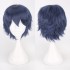 Classic Short 30cm Man Fashion Various Color White Black Gray Brown Pink Red Pruple Blonde Anime Cosplay Wigs