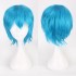 Classic Short 30cm Man Fashion Various Color White Black Gray Brown Pink Red Pruple Blonde Anime Cosplay Wigs