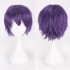 Classic Short 30cm Man Fashion Various Color White Black Gray Brown Pink Red Pruple Blonde Anime Cosplay Wigs