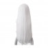 Anime Re:Zero Starting Life in Another World Echidna Witch of Greed Long Straight White Cosplay Wigs