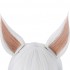 Game LOL Spirit Blossom Ahri White Blue Long Straight Cosplay Wigs