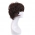 Anime Bungo Stray Dogs Osamu Dazai Short Brown Cosplay Wigs