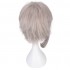 Anime Bungo Stray Dogs Atsushi Nakajima Light Gray Cosplay Wigs