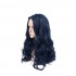 Movie Descendants 2 Evie Halloween Cosplay Wigs