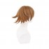 Anime Danganronpa: Trigger Happy Havoc Chihiro Fujisaki Short Brown Cosplay Wigs