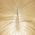 Game Genshin Impact Fischl Blonde Cosplay Wigs