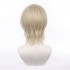 Anime The English Ensemble Stars 2 Shiratori Aira Cosplay Wig