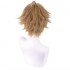 Anime Mushoku Tensei: Isekai Ittara Honki Dasu Rudeus Greyrat Cosplay Wigs