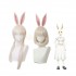 Anime Beastars Haru Short Long Silver Cosplay Wigs