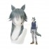 Anime Beastars Legoshi Short Long Cosplay Wigs